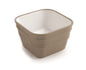 BACILE CUBO