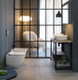 Vaso Wc sospeso cm 50.5x36 Moon Clean Flush